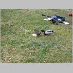 C.Lhota 3.4.2008 -61.JPG